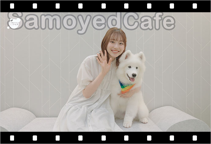 モデルとわんこ #5